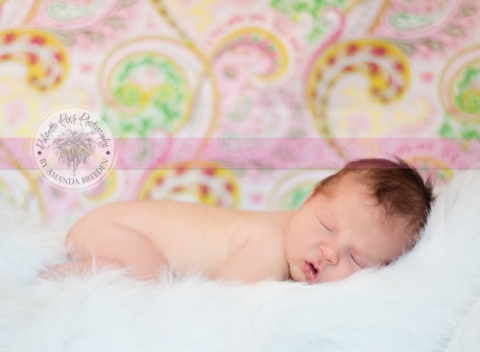 newborn baby picture