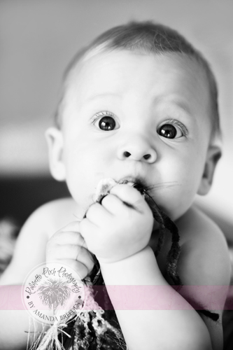 sitting baby, baby plan photo, 