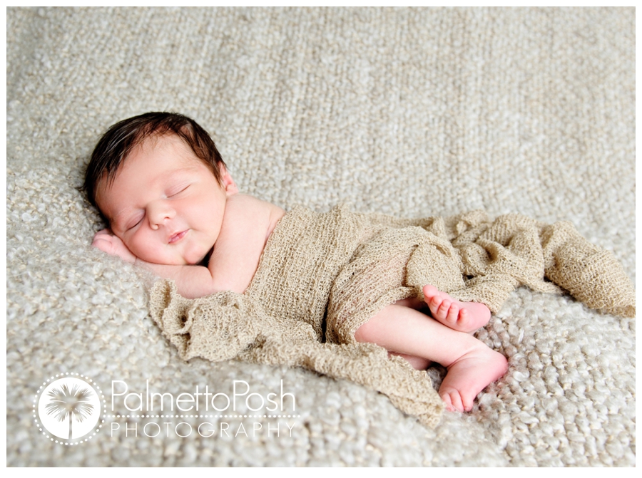 greenwood sc newborn photographer | palmetto posh photography by amanda breeden