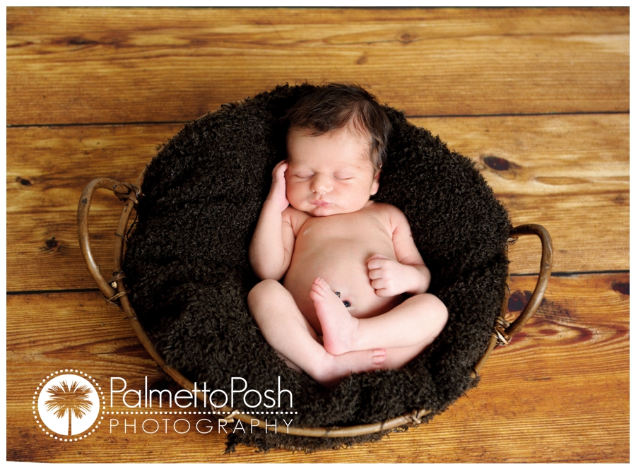 greenwood sc newborn photographer | palmetto posh photography by amanda breeden