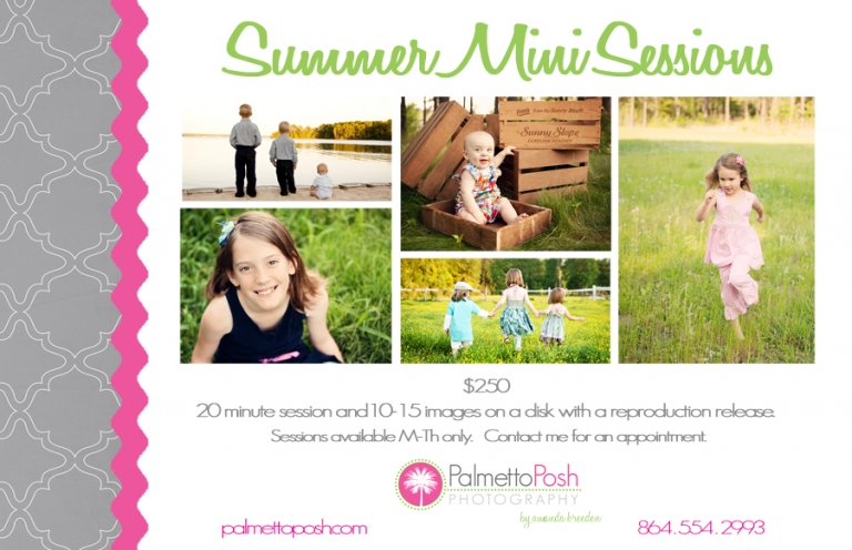 summer mini session