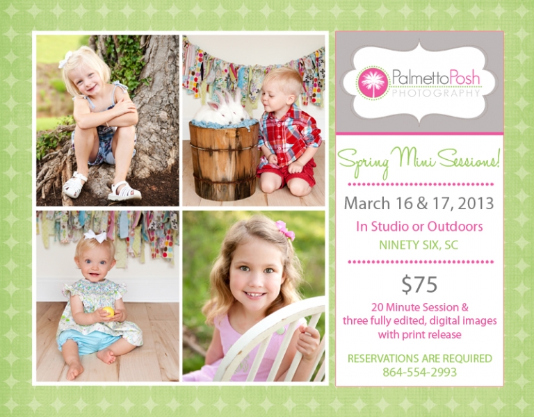details of spring mini sessions