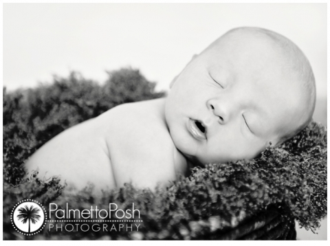 baby in basket newborn in basket