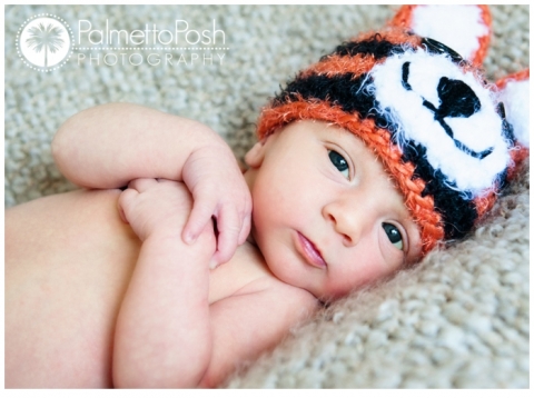 baby in tiger hat, newborn clemson fan