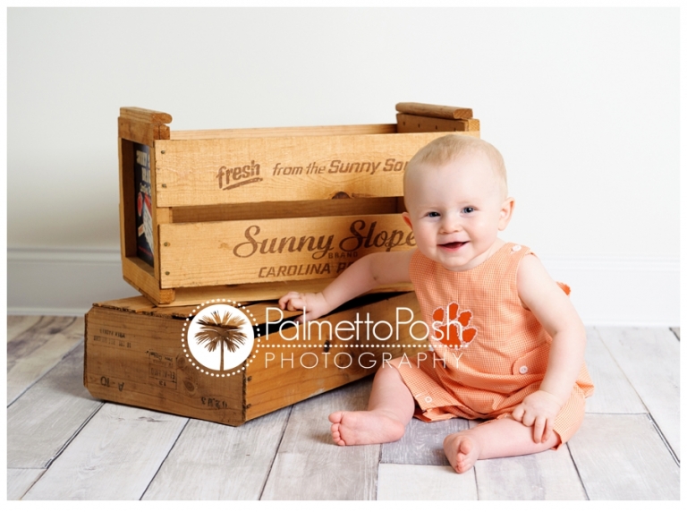 1 year old session greenwood sc photographer