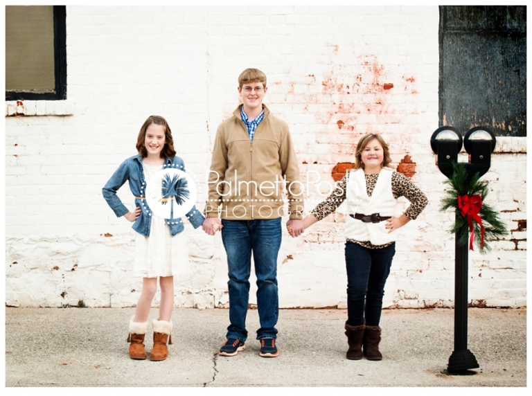 greenwood, sc photographer palmetto posh