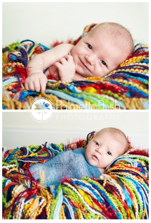 newborn boy in a colorful blanket, newborn photographer amanda breeden, palmetto posh photographer