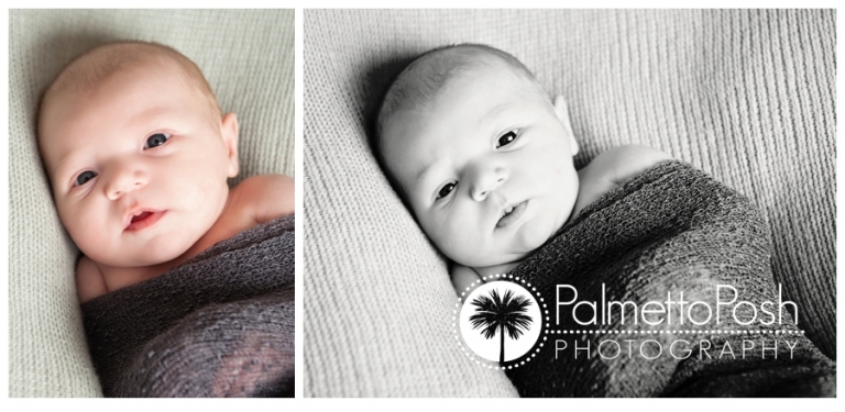 posed newborn session, greenwood sc photographer amanda breeden