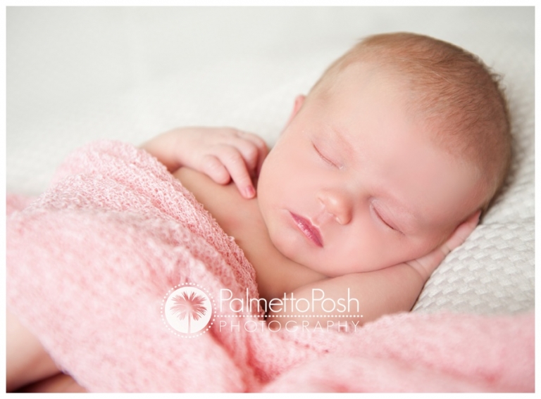 greenwood sc newborn photographer