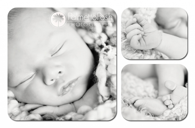 greenwood sc newborn photographer | amanda breeden | palmetto posh photography