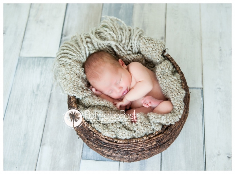 greenwood sc newborn photographer | amanda breeden | palmetto posh photography