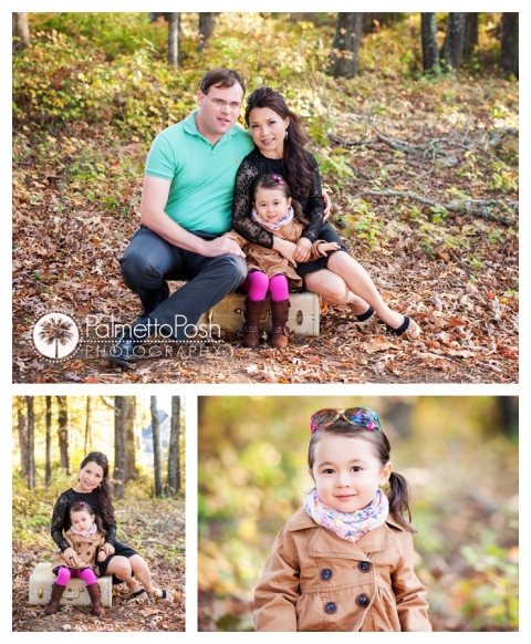 greenwood sc photographer amanda breeden