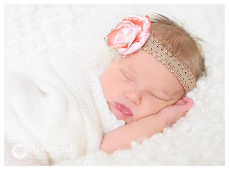 newborn photographer amanda breeden, palmetto posh photography