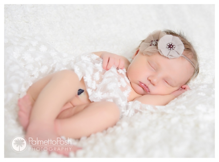 newborn photographer amanda breeden, palmetto posh photography