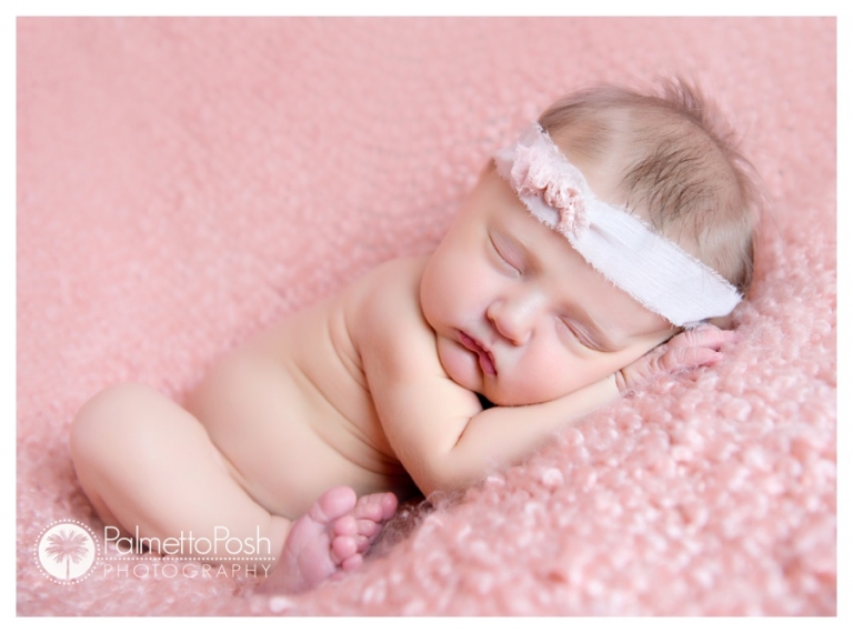 newborn photographer amanda breeden, palmetto posh photography