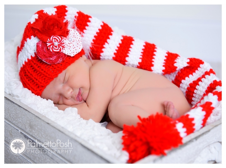 newborn photographer amanda breeden, palmetto posh photography
