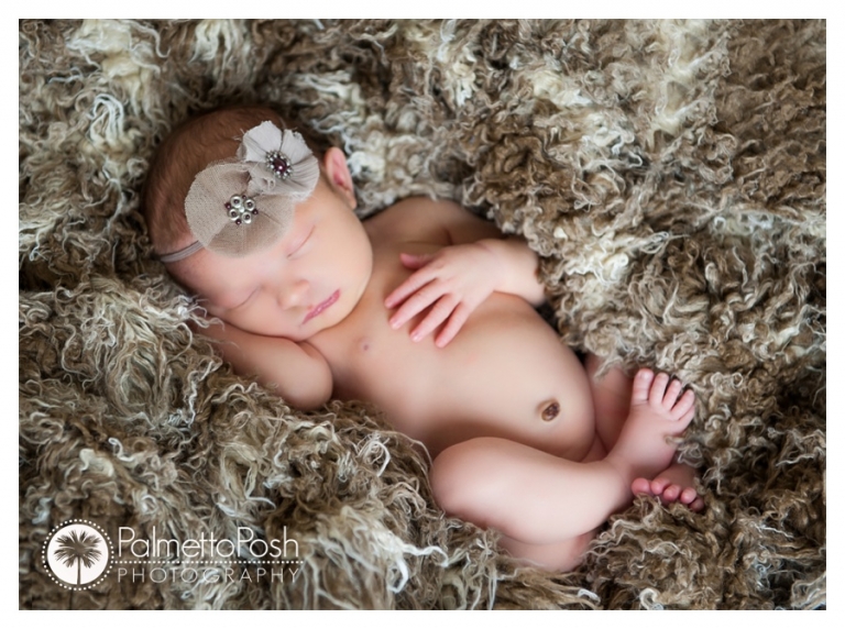 newborn photographer greenwood sc