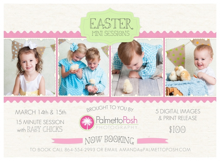 easter mini session photographer, greenwood sc, palmetto posh photography by amanda breeden