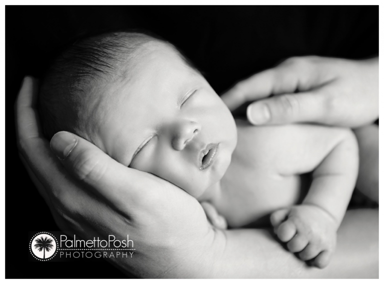 greenwood sc newborn photographer | palmetto posh photography by amanda breeden