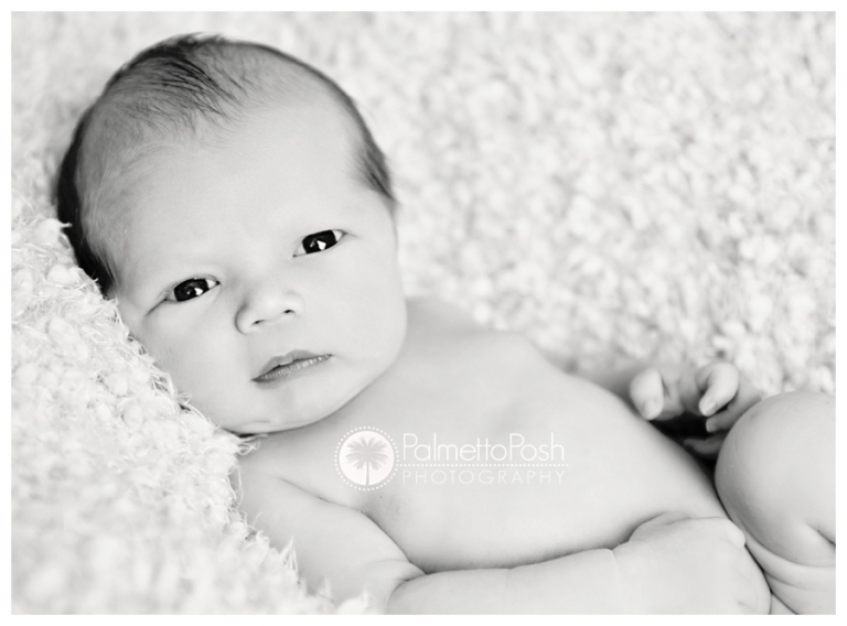 greenwood sc newborn photographer | palmetto posh photography by amanda breeden