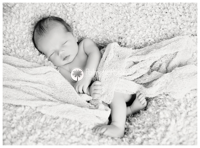 greenwood sc newborn photographer | palmetto posh photography by amanda breeden