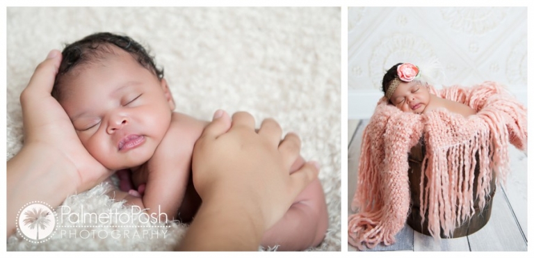 newborn photographer | palmetto posh photography