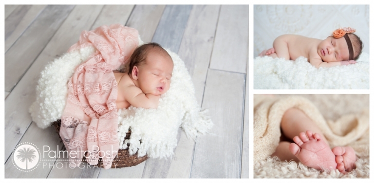 greenwood, sc newborn photographer