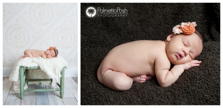 greenwood, sc newborn photographer