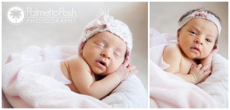 newborn photographer greenwood, sc | palmetto posh photography