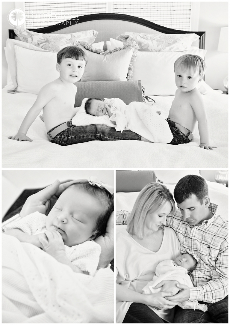 newborn photographer greenwood, sc | palmetto posh photography