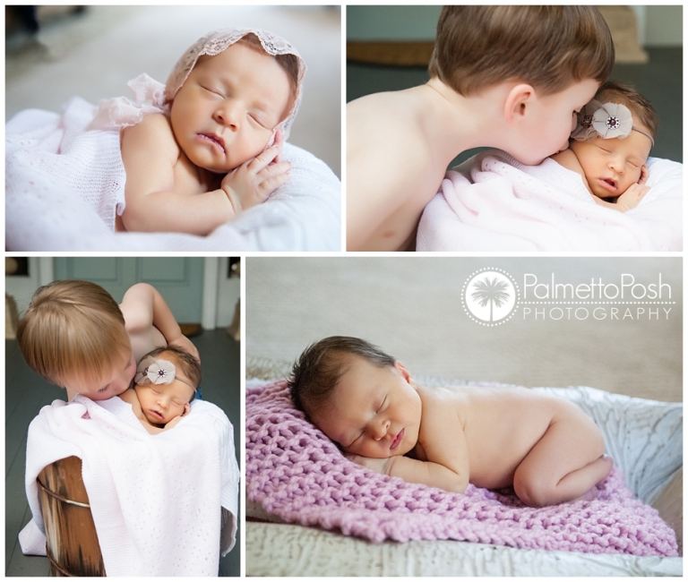 newborn photographer greenwood, sc | palmetto posh photography