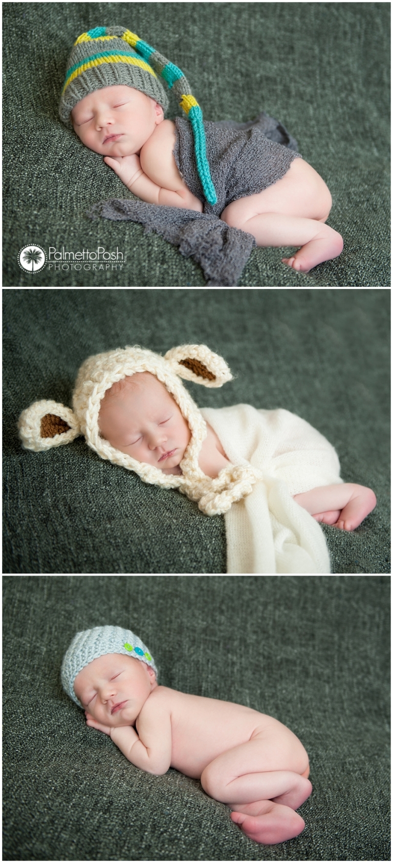 Greenwood newborn photographer